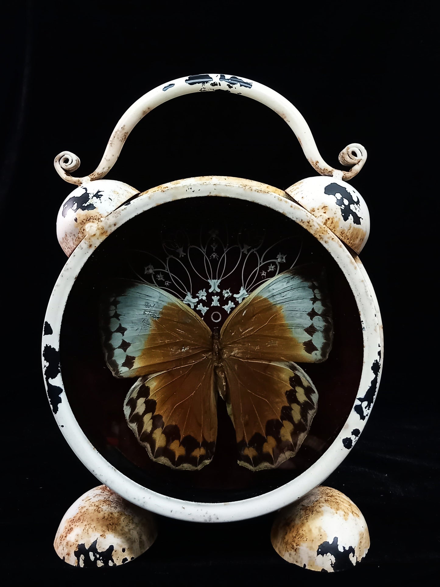 Bone and Butterfly Mandala
