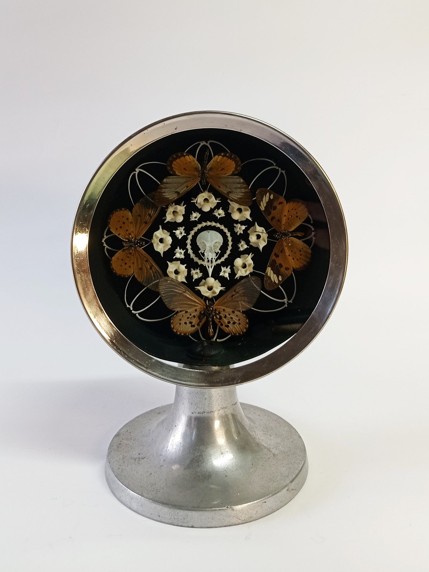 Bone and Butterfly in Vintage Clock