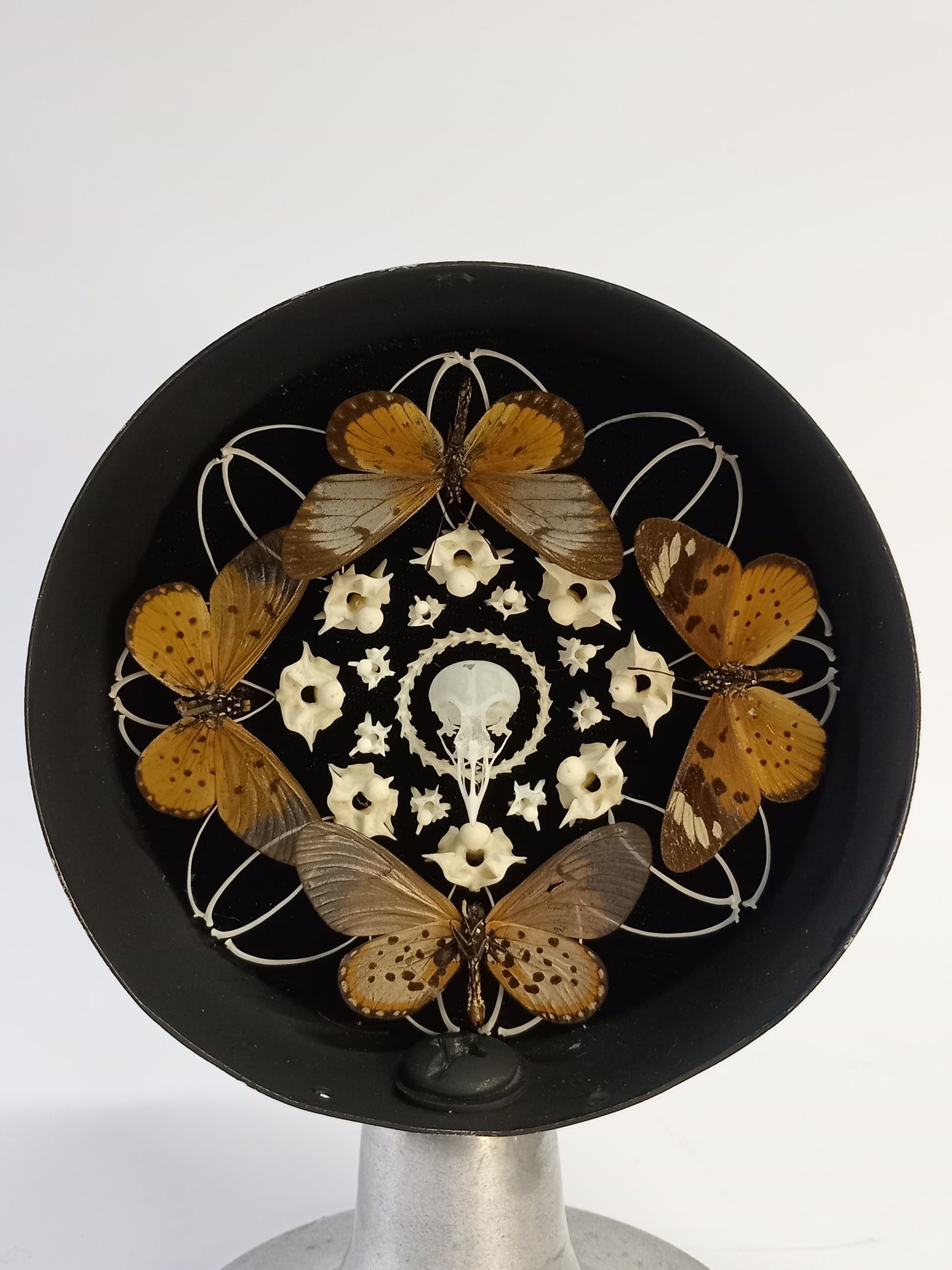 Bone and Butterfly in Vintage Clock