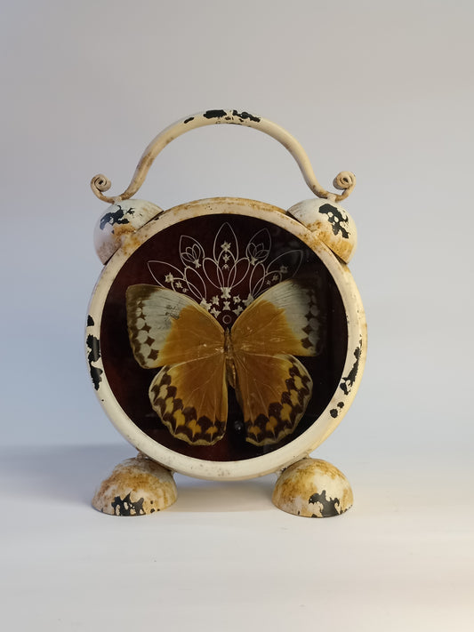Bone and Butterfly Mandala