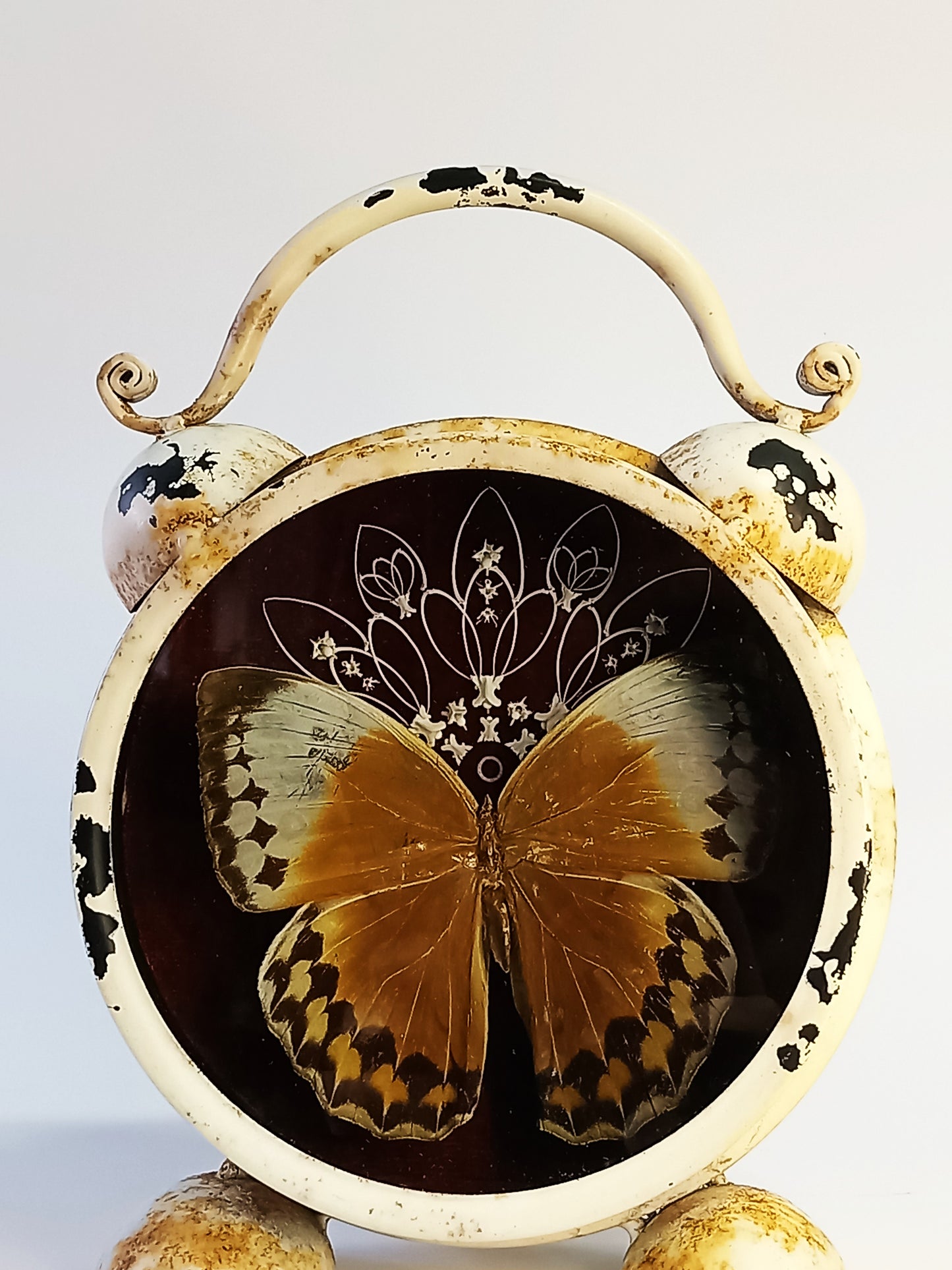 Bone and Butterfly Mandala