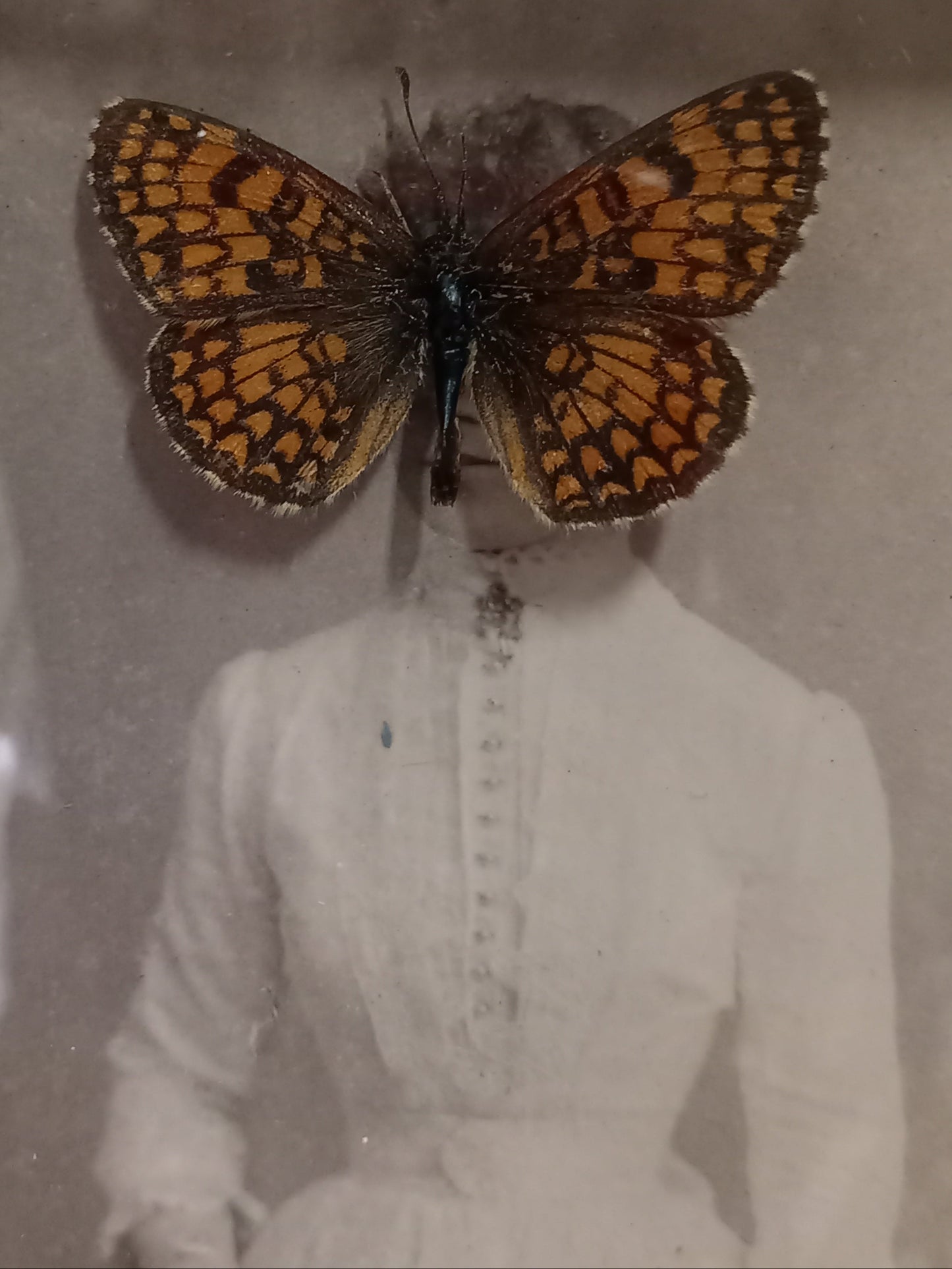 Obscured Portrait #3