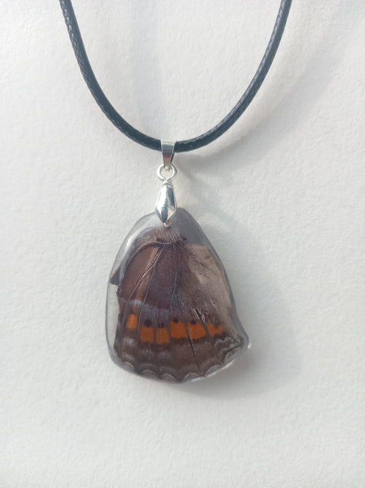 Garden Inspector butterfly | Real Butterfly Wing Earrings in Resin