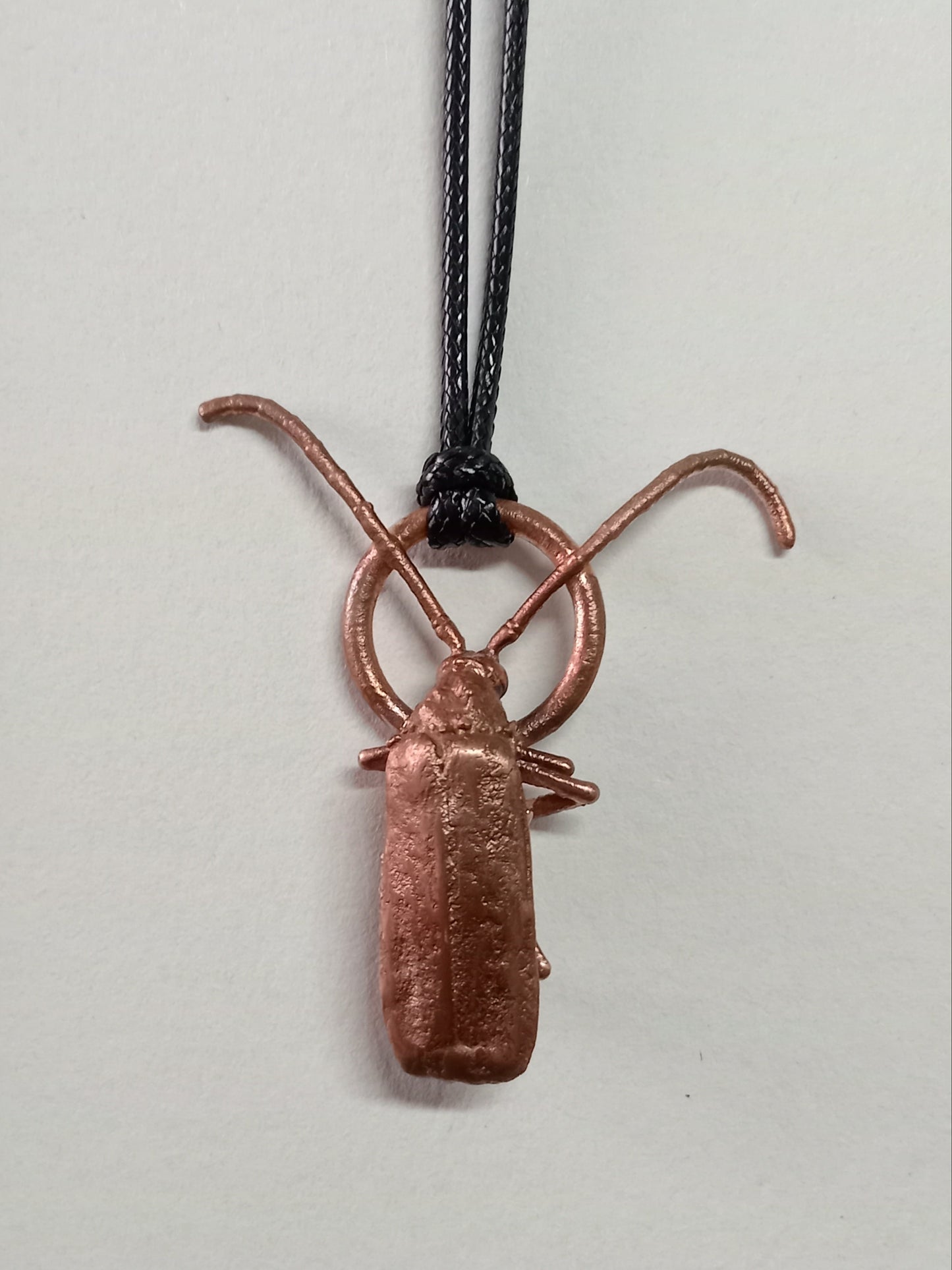 Long-horned beetle