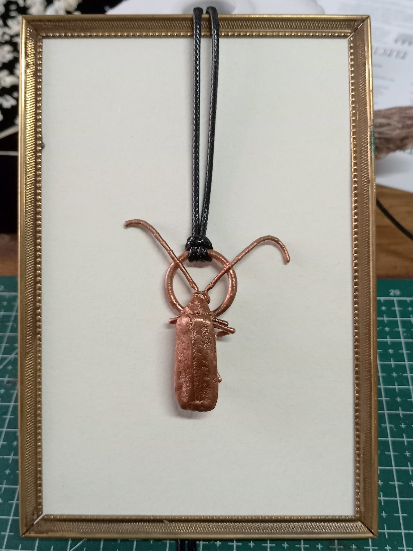 Long-horned beetle