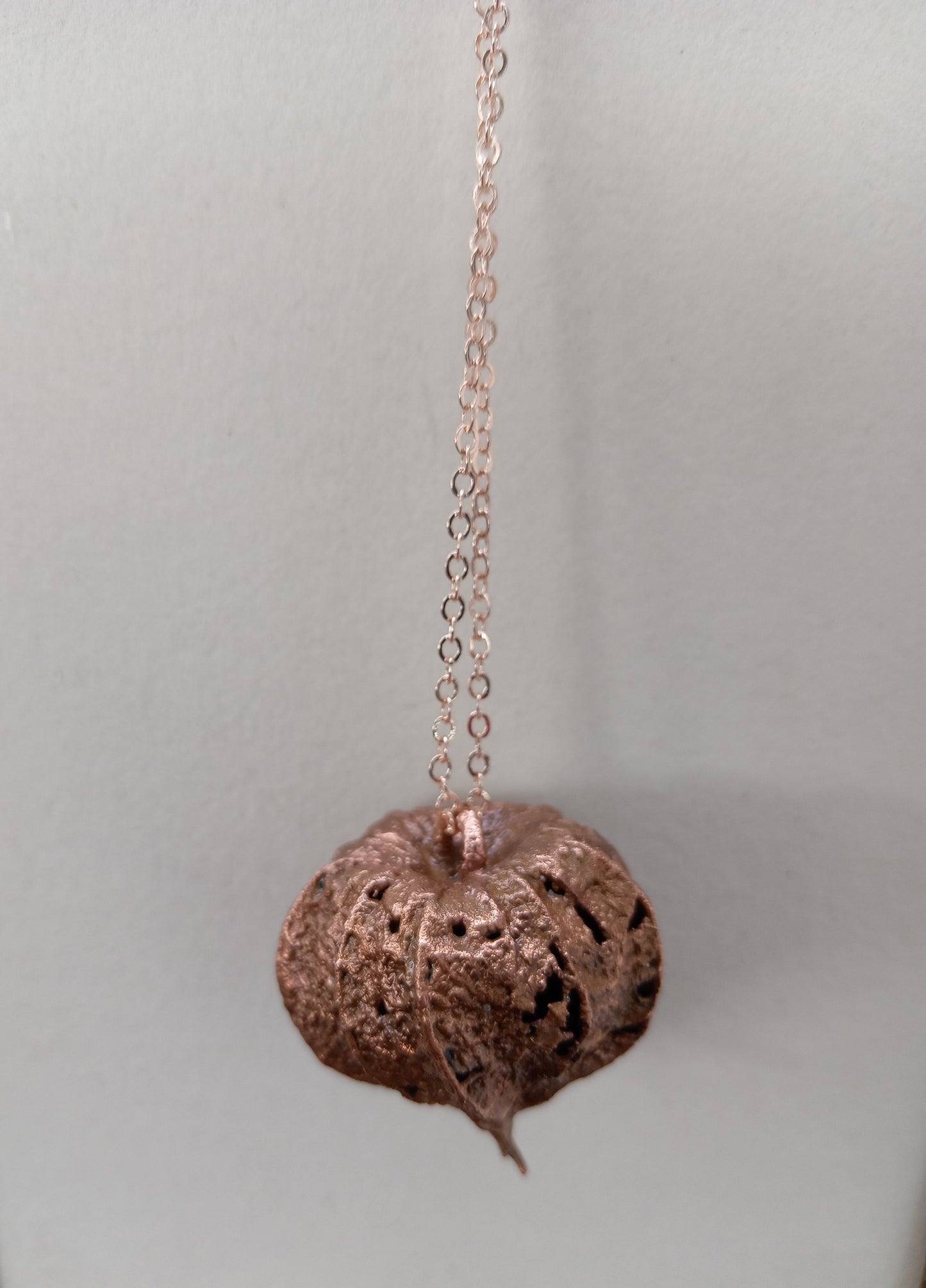 Real Gooseberry Husk Electroformed Pendant