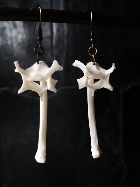 Cat Bone Earrings