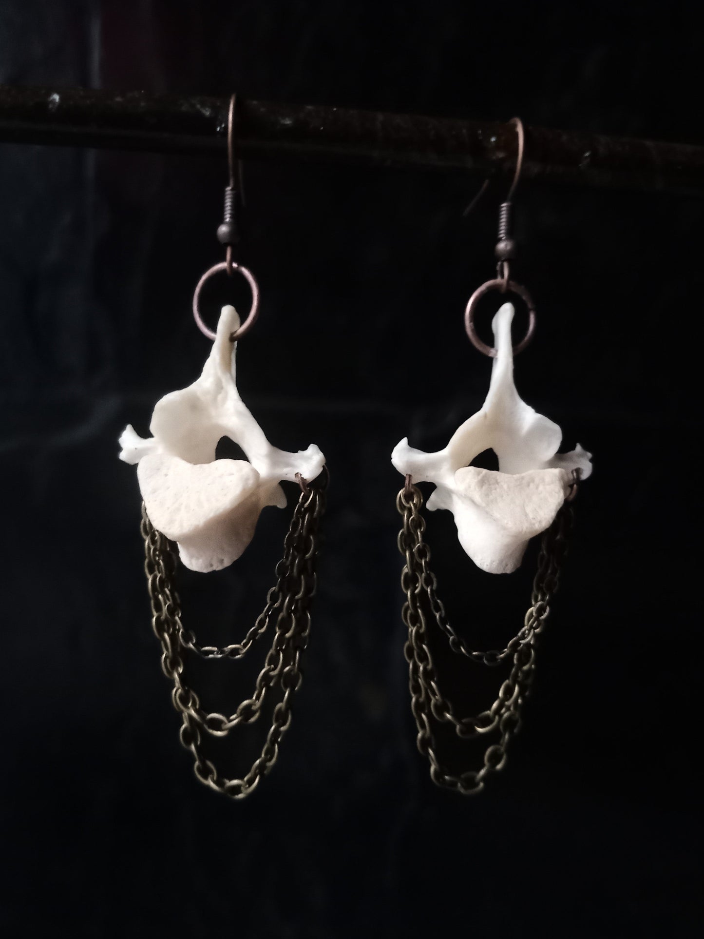 Monkey Vertebra Bone Earrings