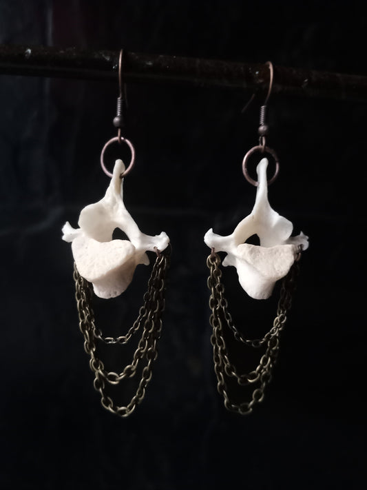 Monkey Vertebra Bone Earrings
