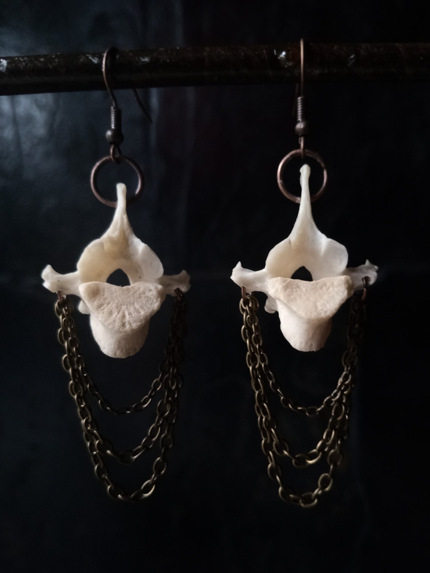 Monkey Vertebra Bone Earrings