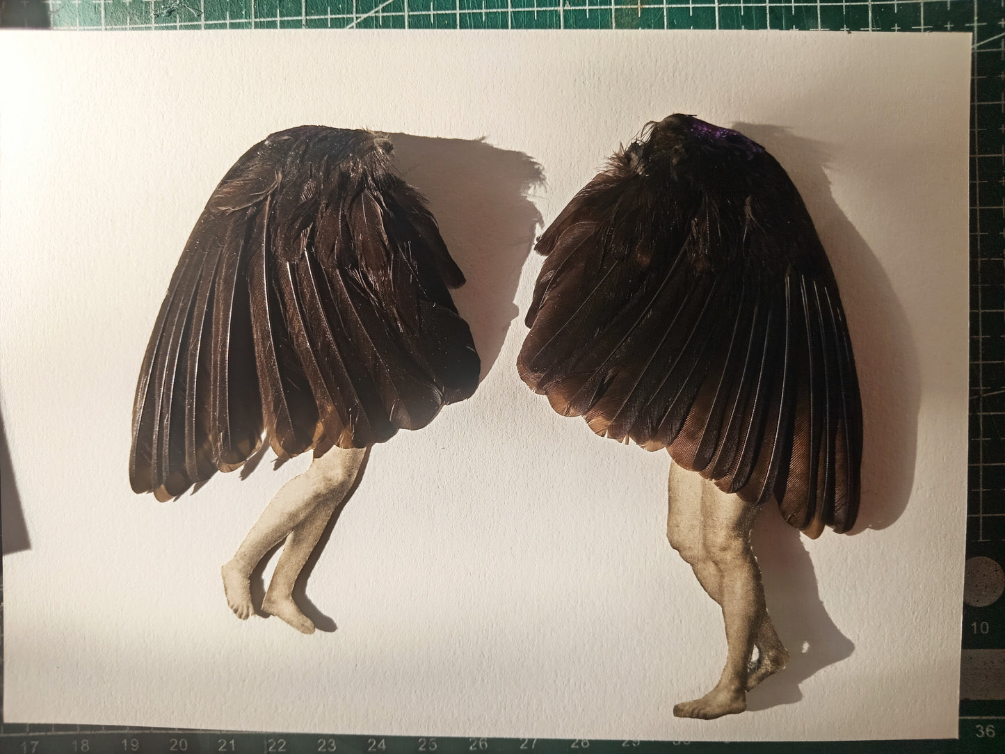 Bird ladies