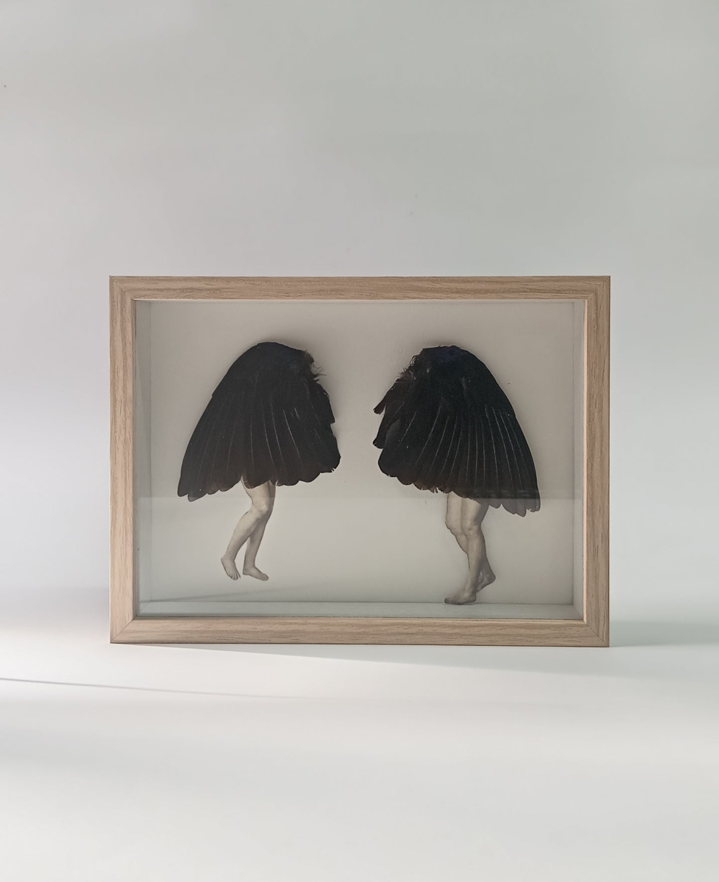 Bird ladies