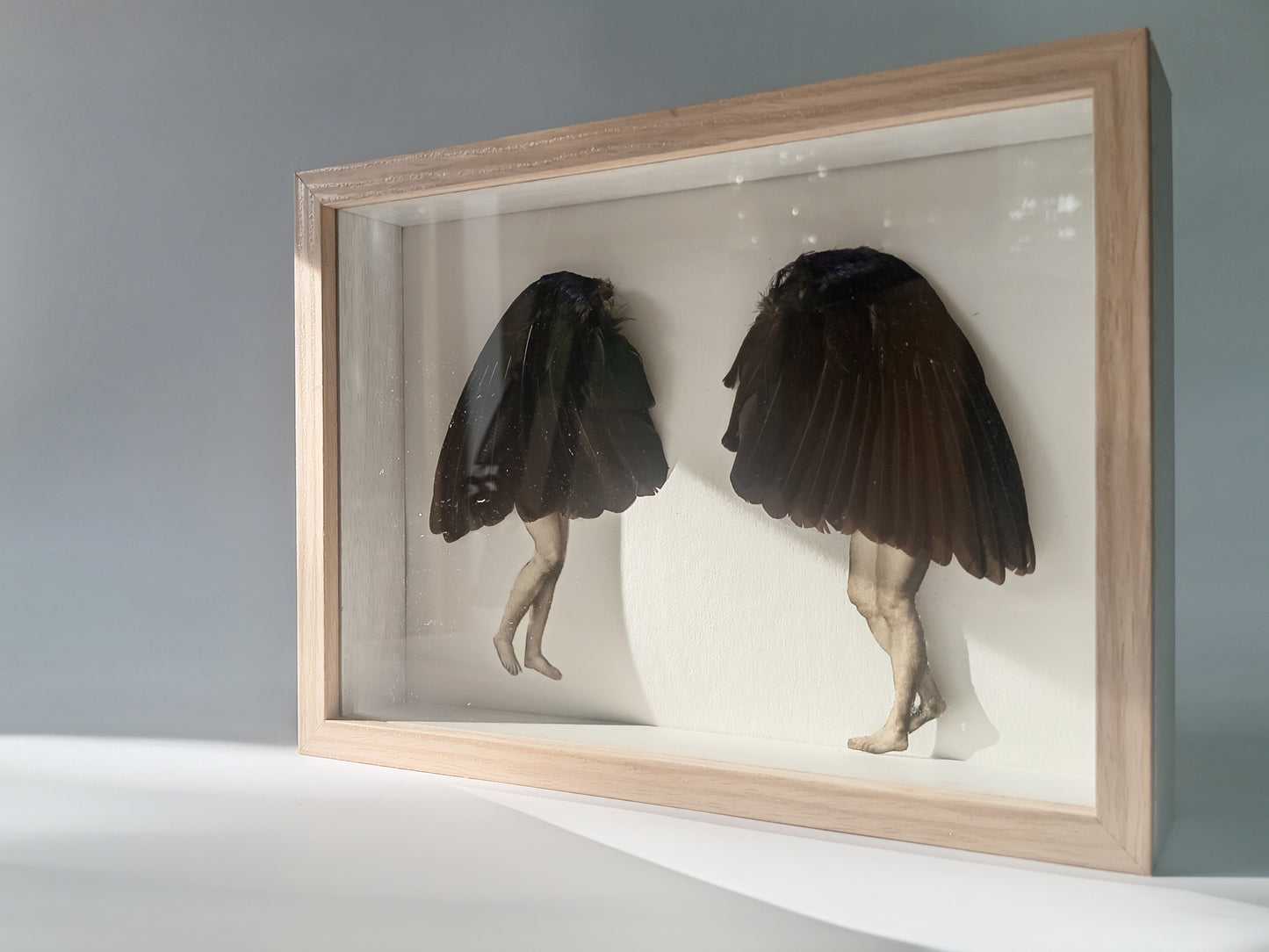 Bird ladies