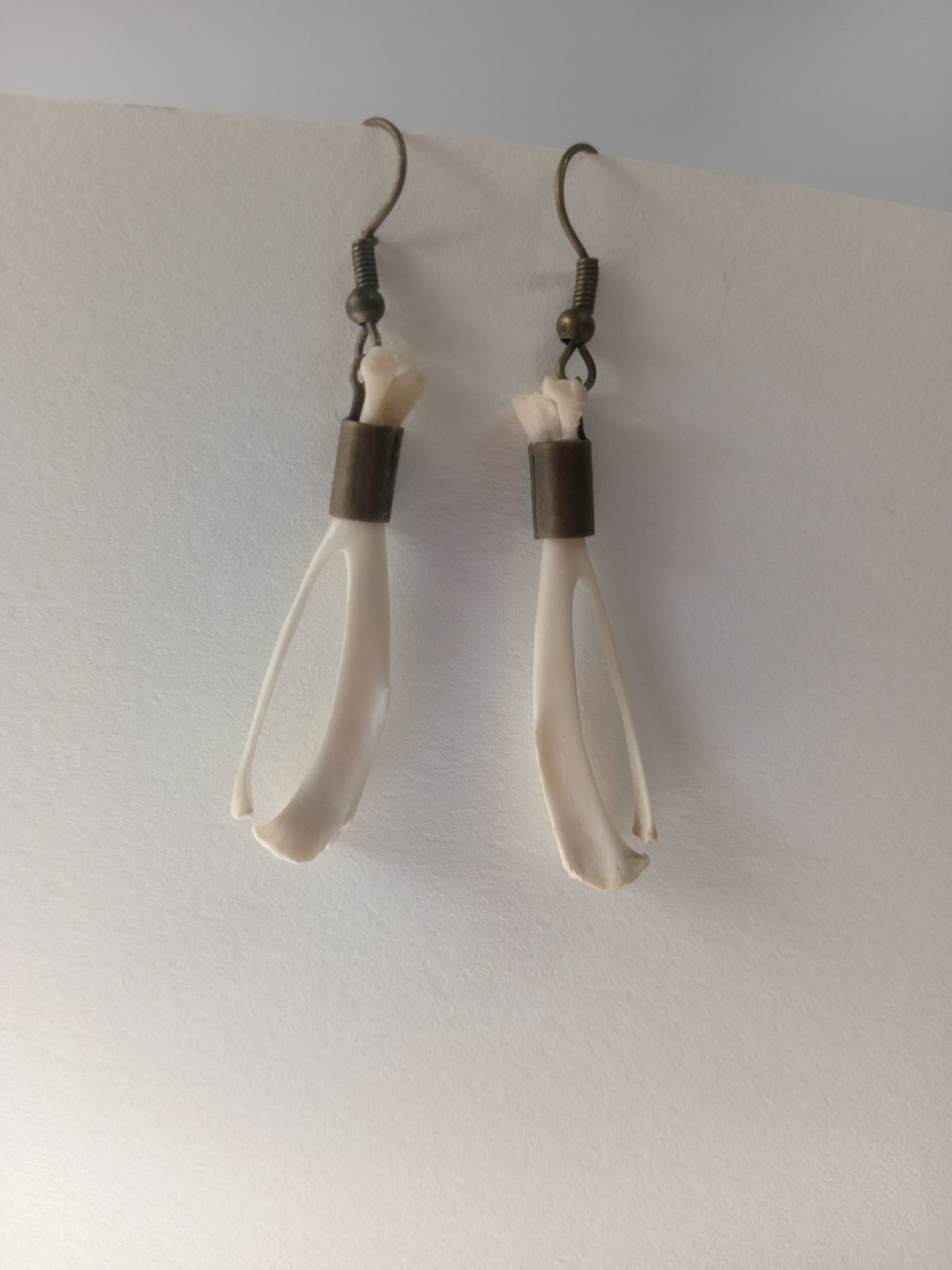 Real Rat Bone Earrings