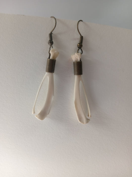 Real Rat Bone Earrings