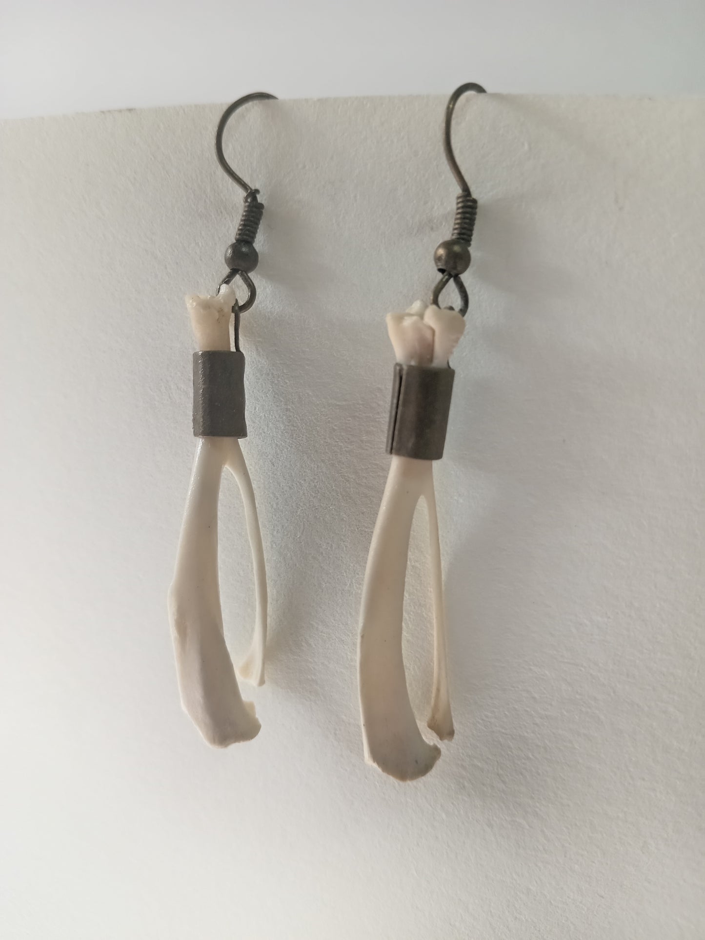 Real Rat Bone Earrings
