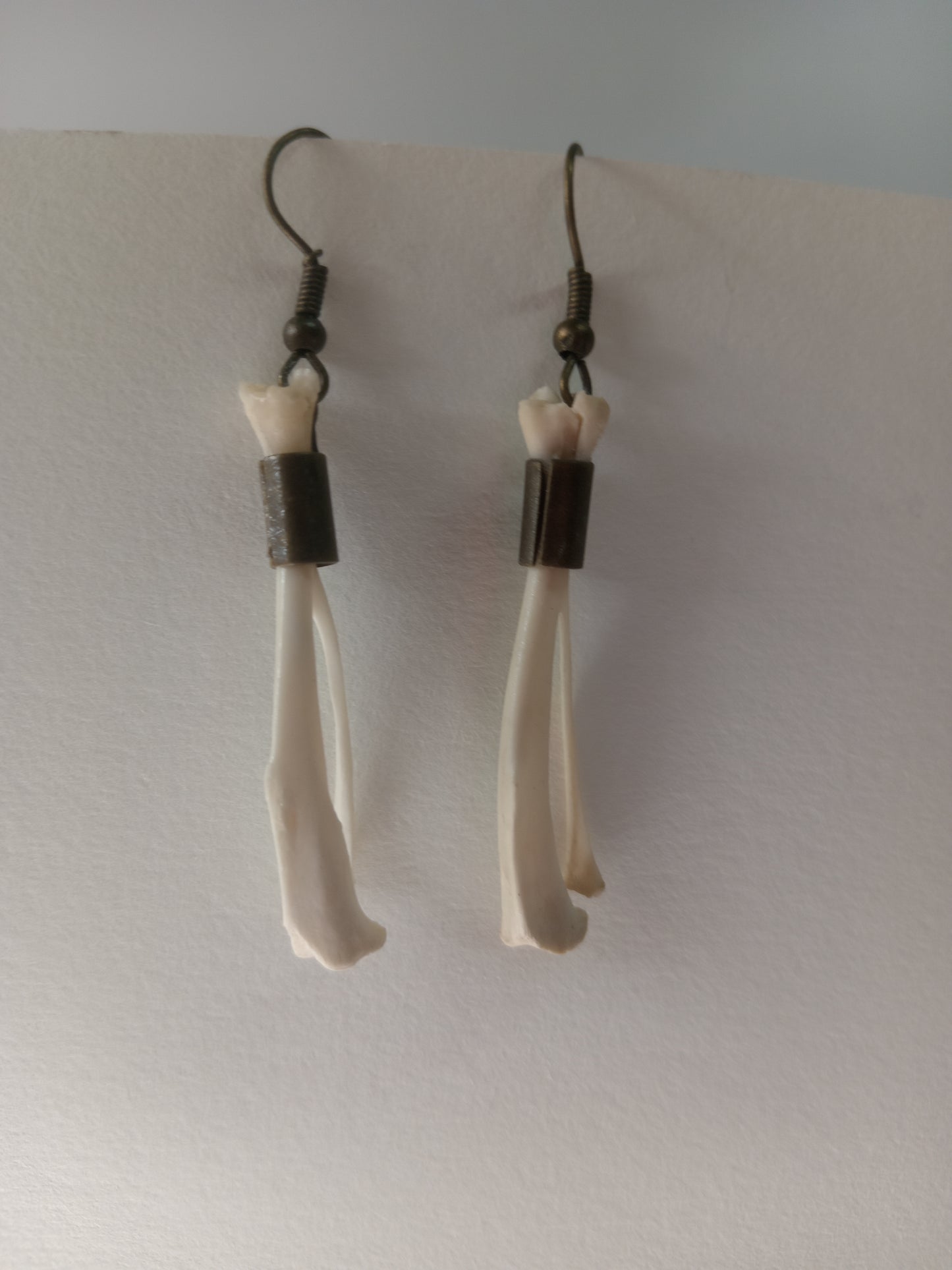 Real Rat Bone Earrings
