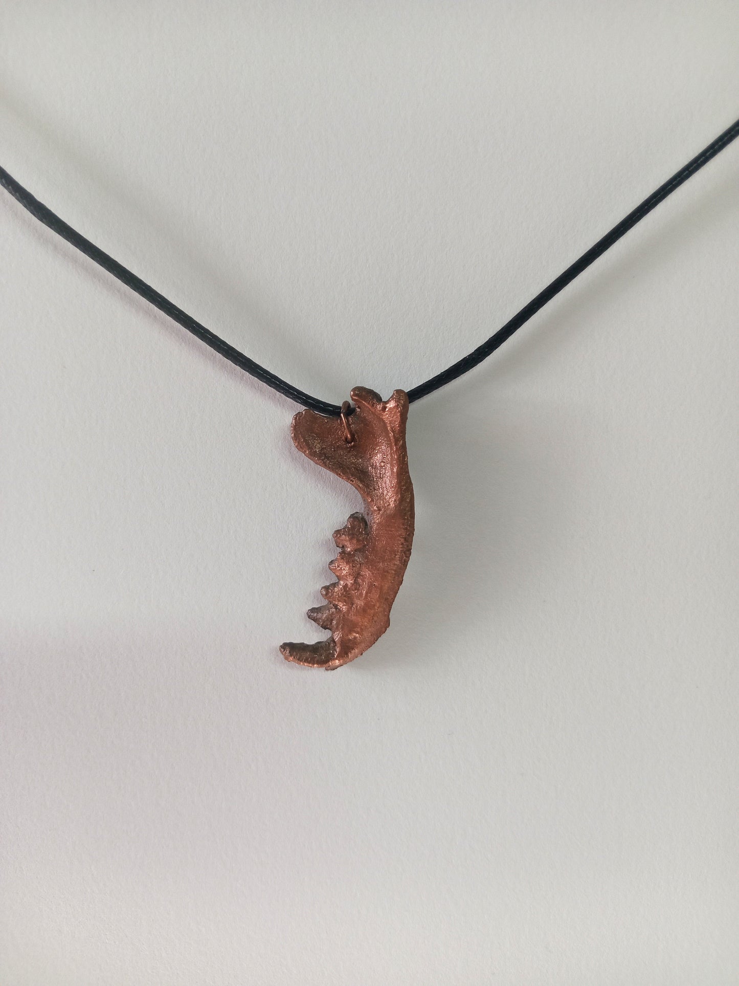 Copper Electroformed Mongoose Mandible Pendant