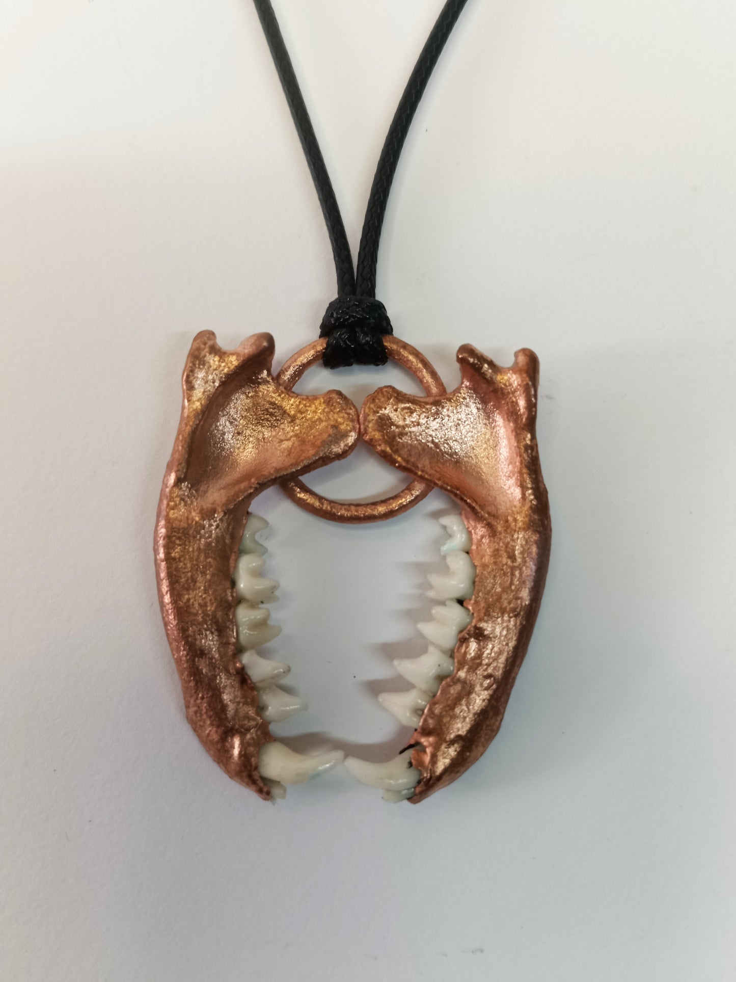 Mongoose Mandibles in Copper