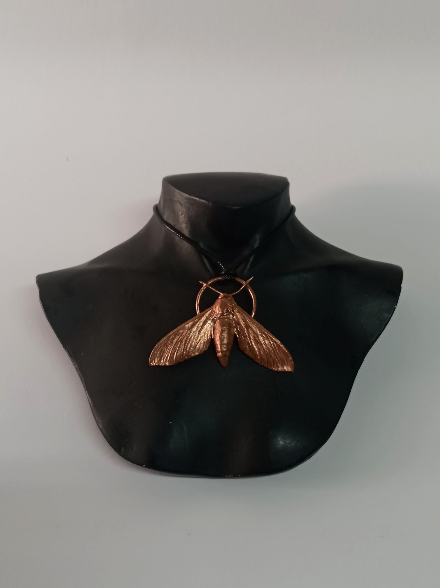 Sweet Potato Hawkmoth