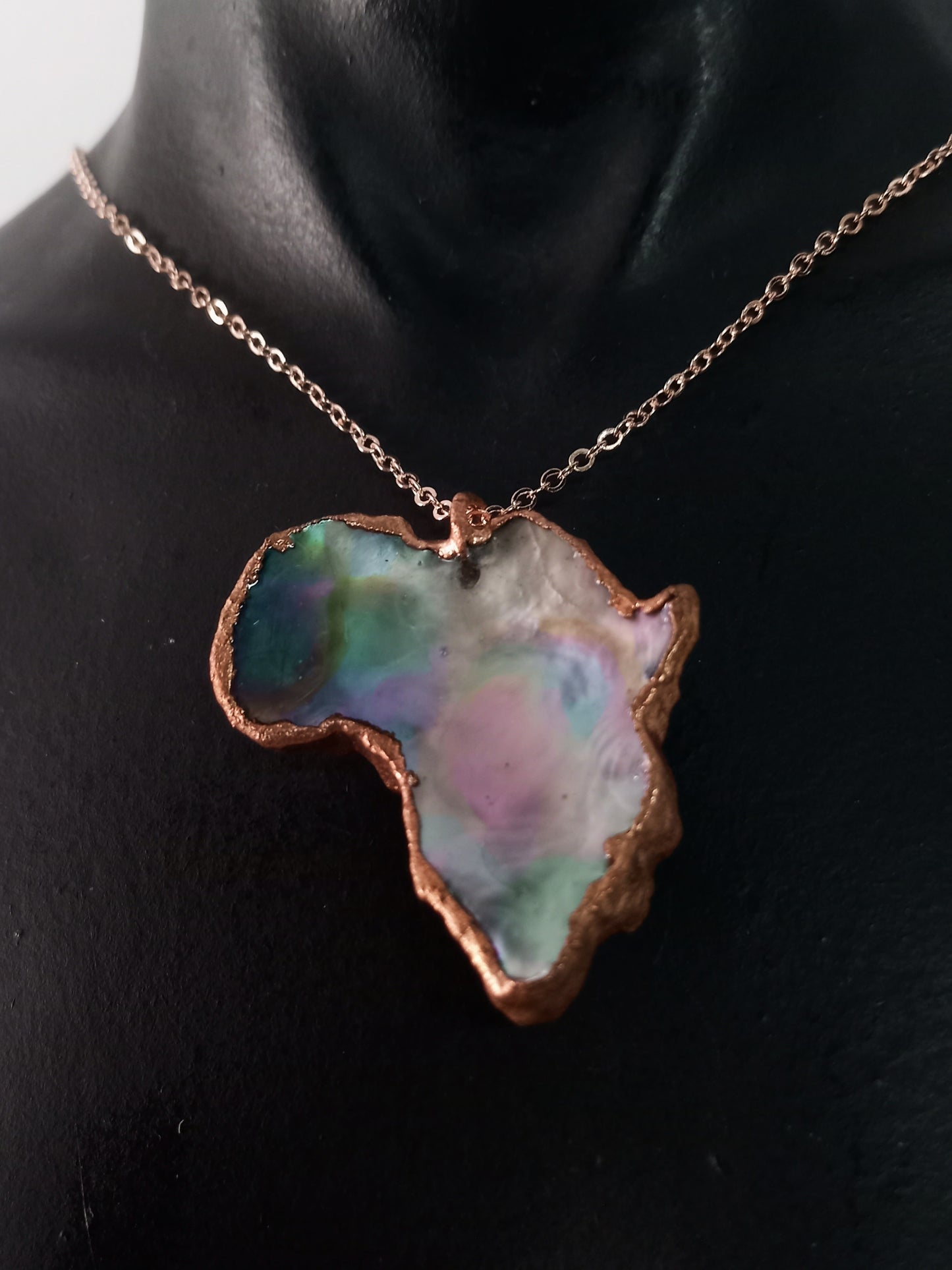 Abalone Africa