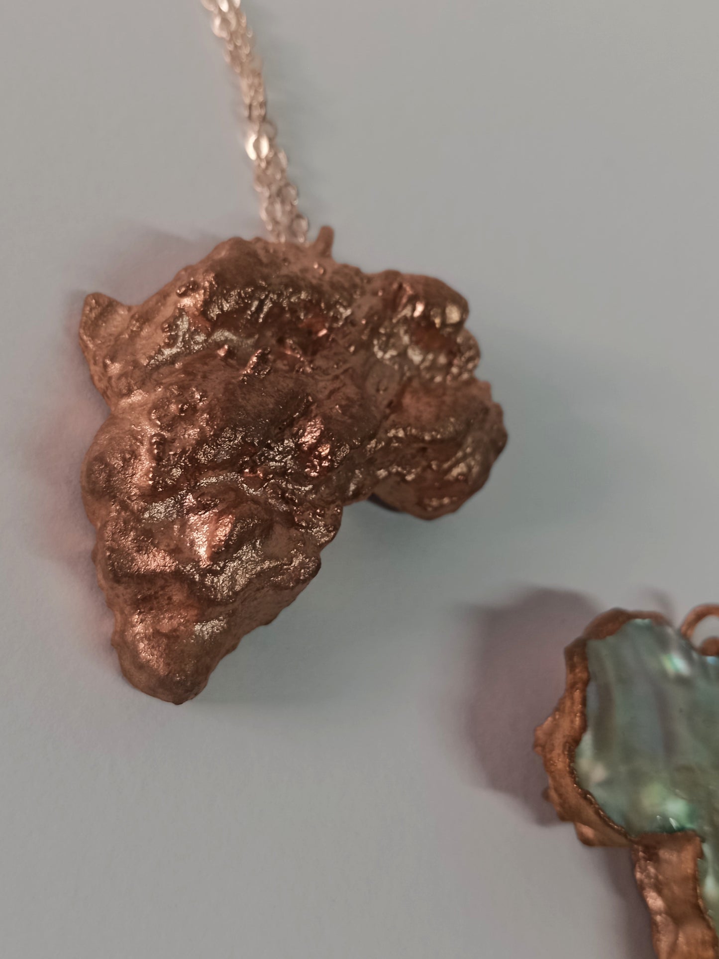Abalone Africa