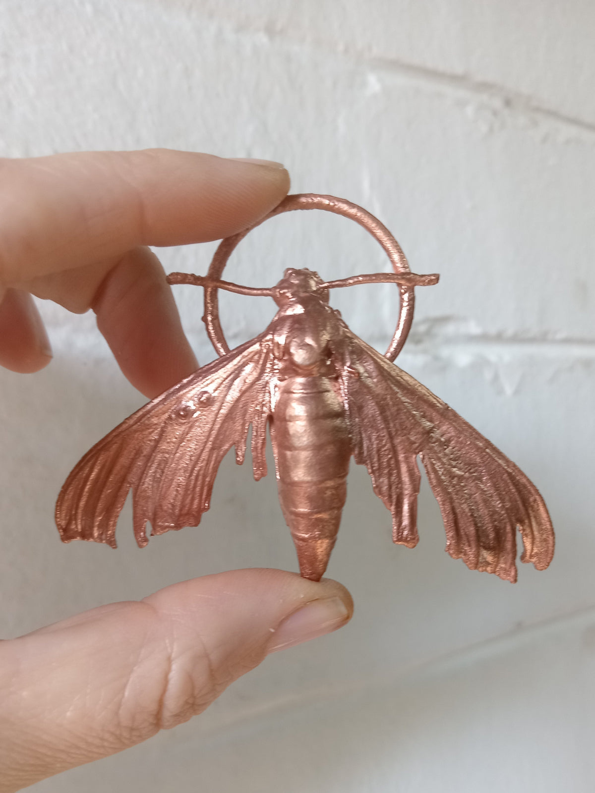 Goth Moth- Hawkmoth