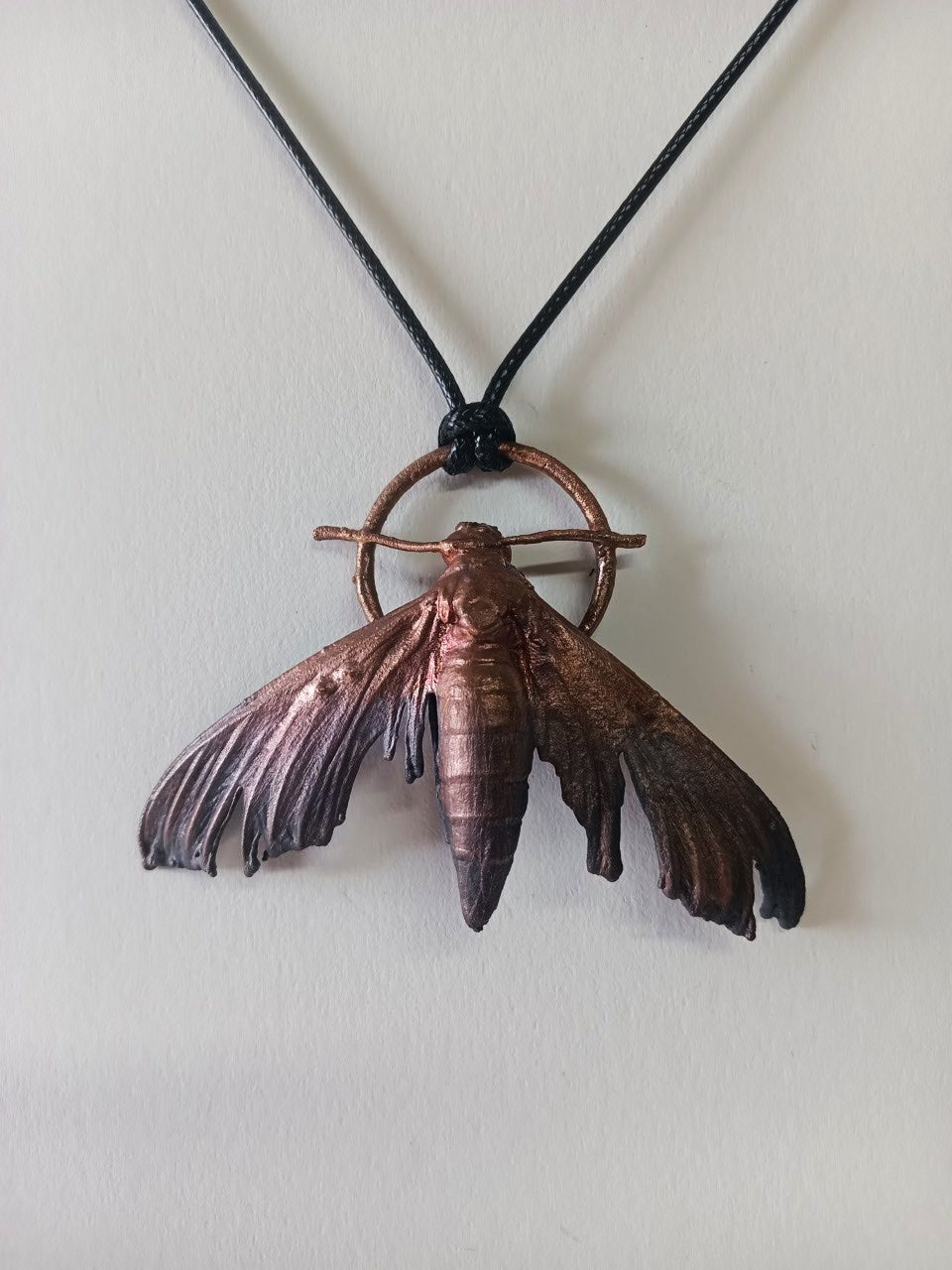 Moth