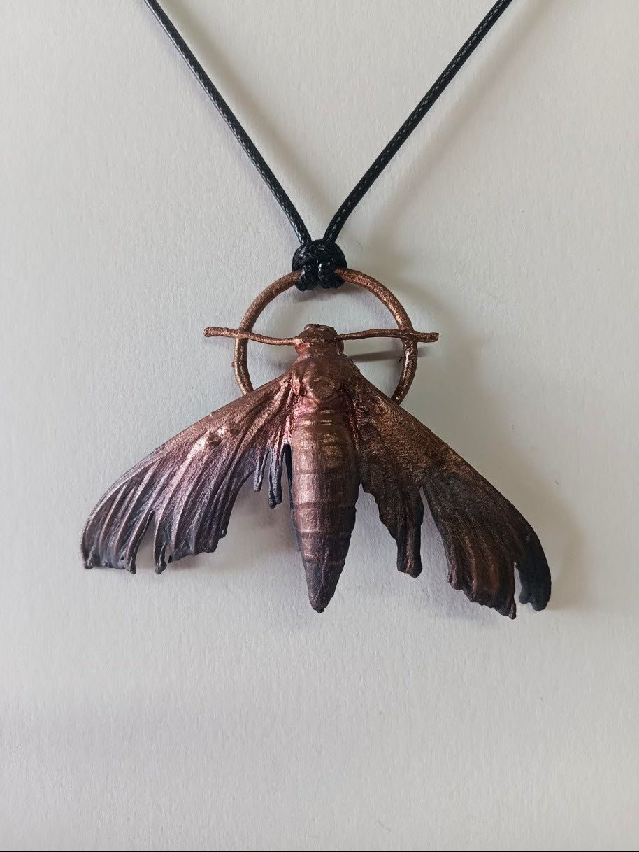 Goth Moth- Hawkmoth