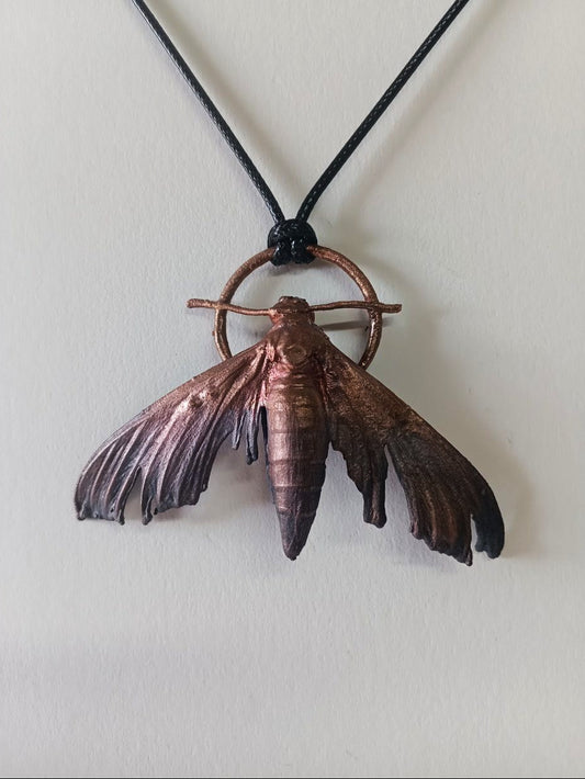 Goth Moth- Hawkmoth