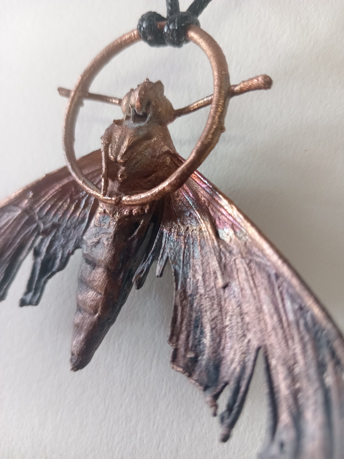 Goth Moth- Hawkmoth