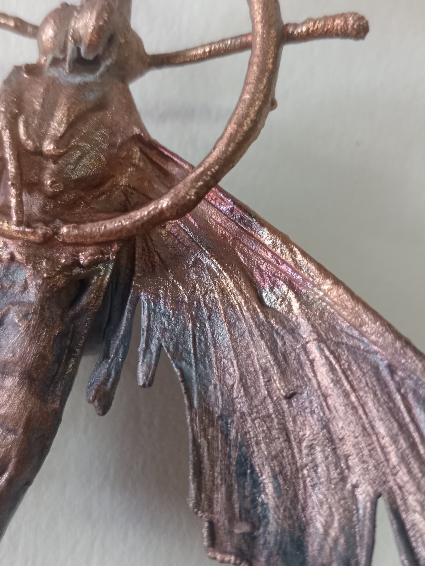 Moth