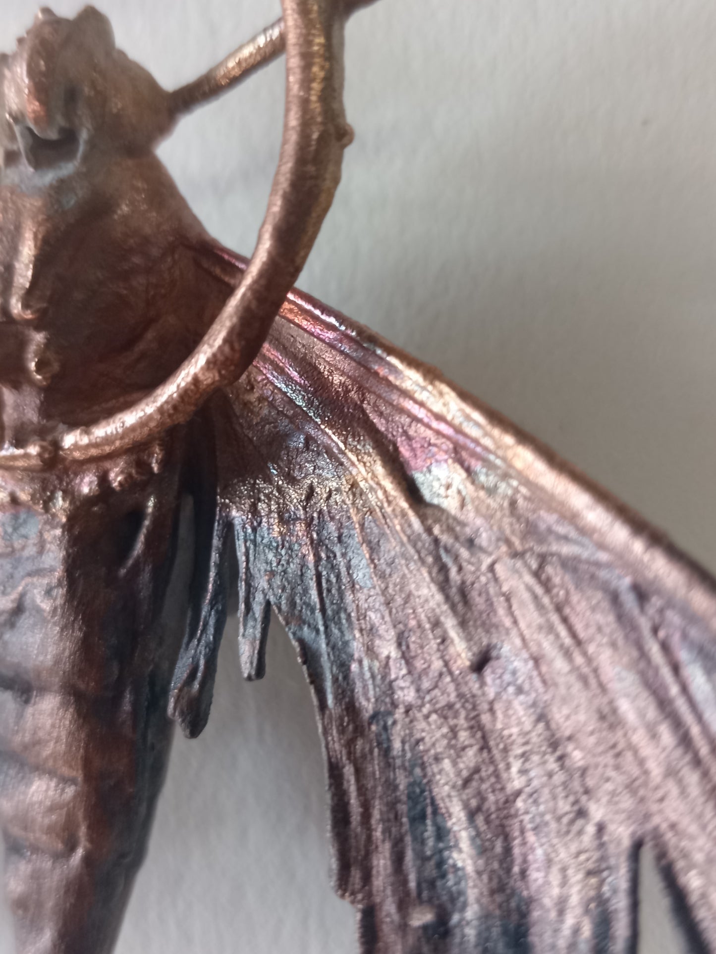 Moth