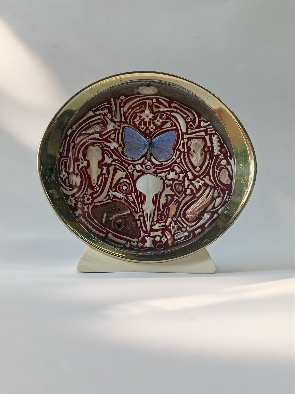 Nature Composition in Vintage Clock