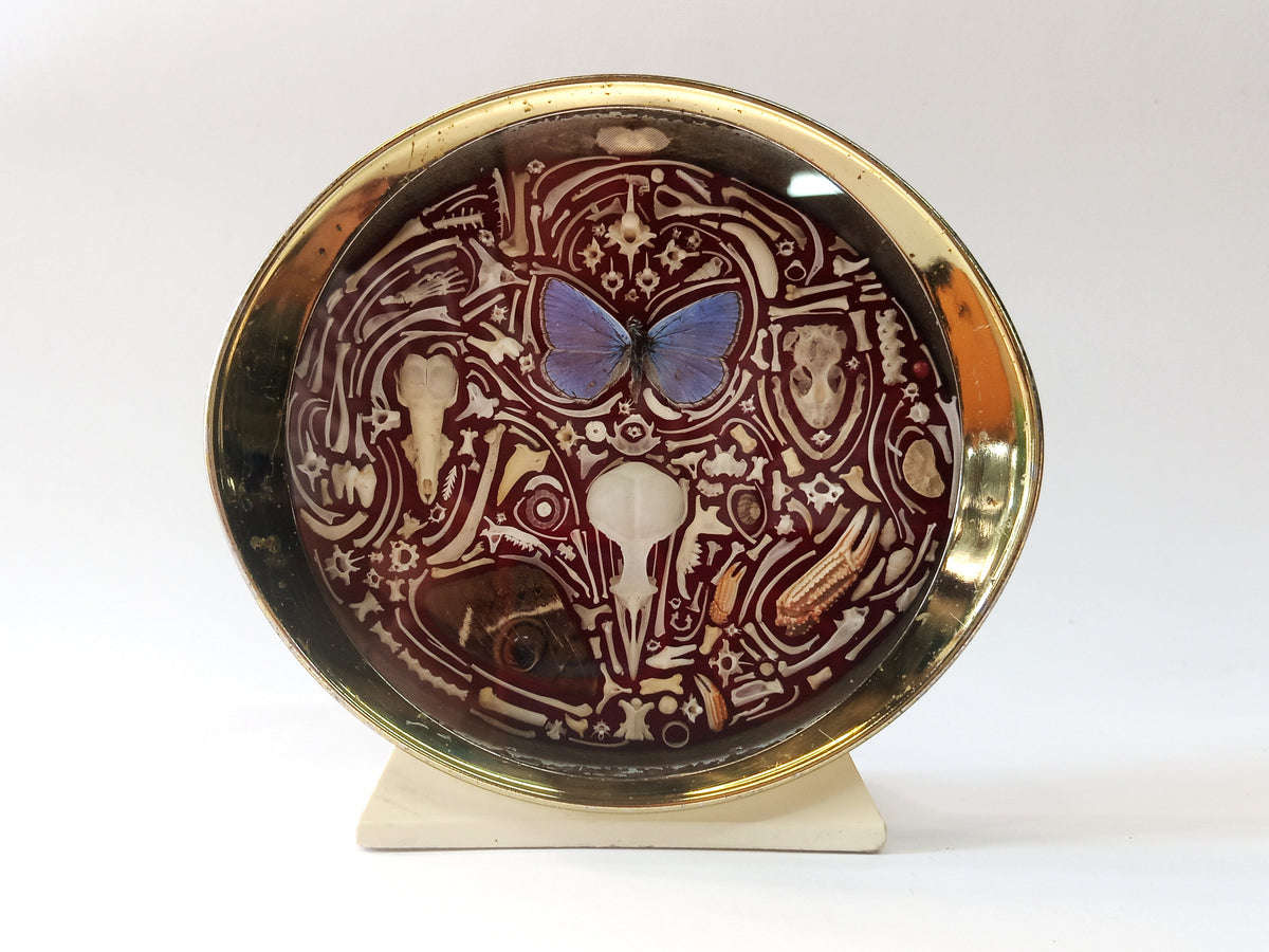 Nature Composition in Vintage Clock
