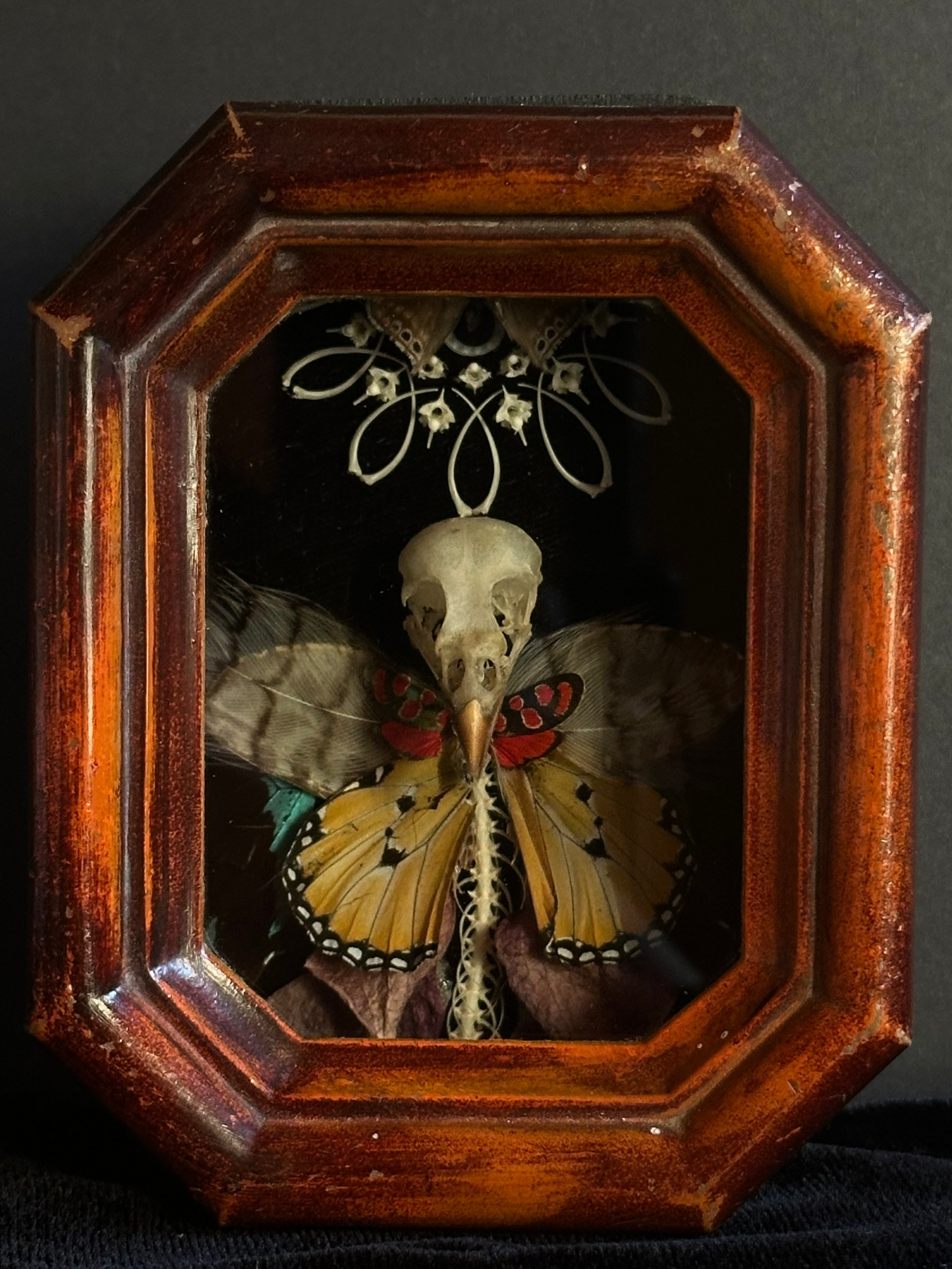 Obscure Jester Creature