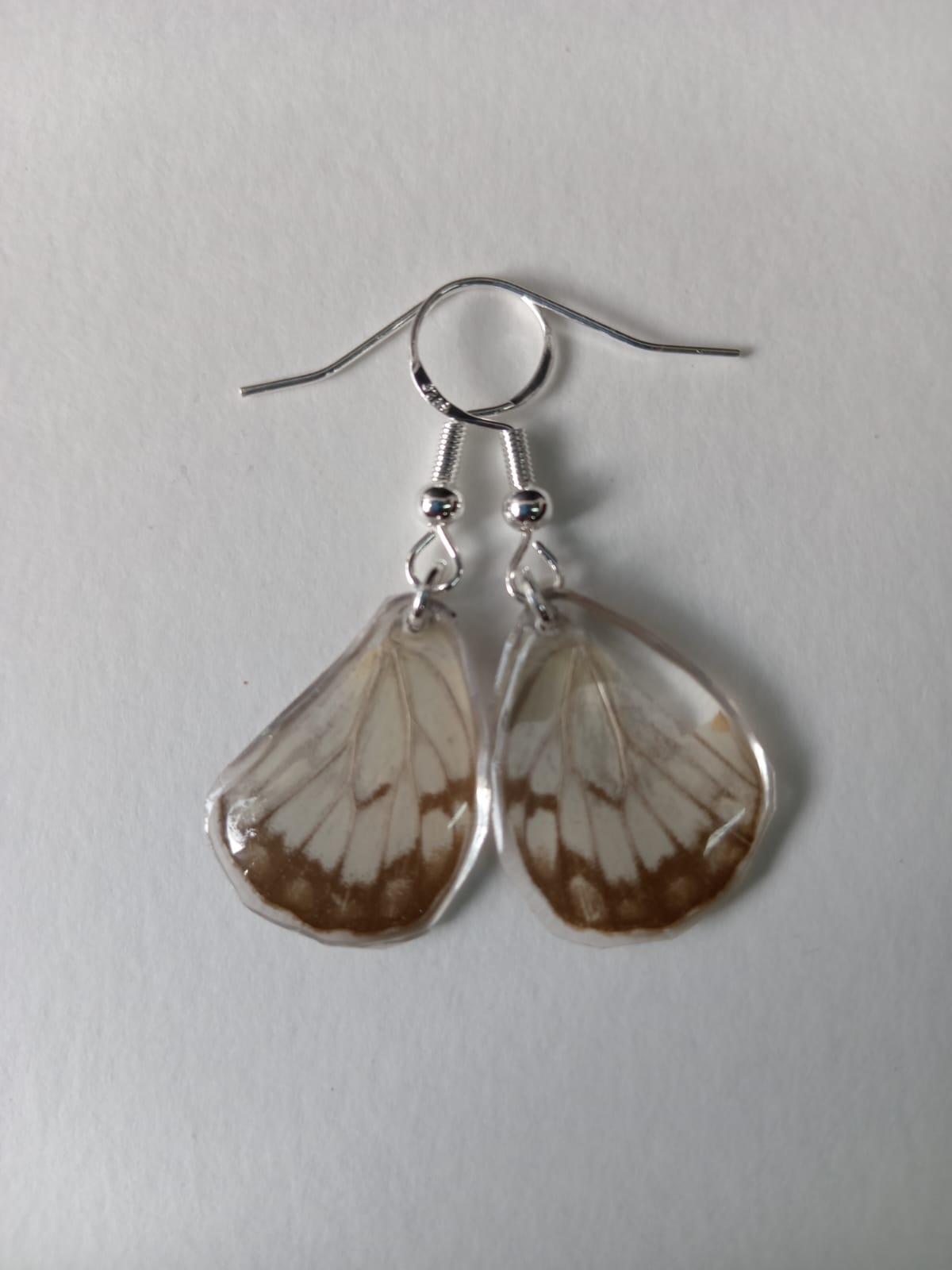 Butterfly, white and black