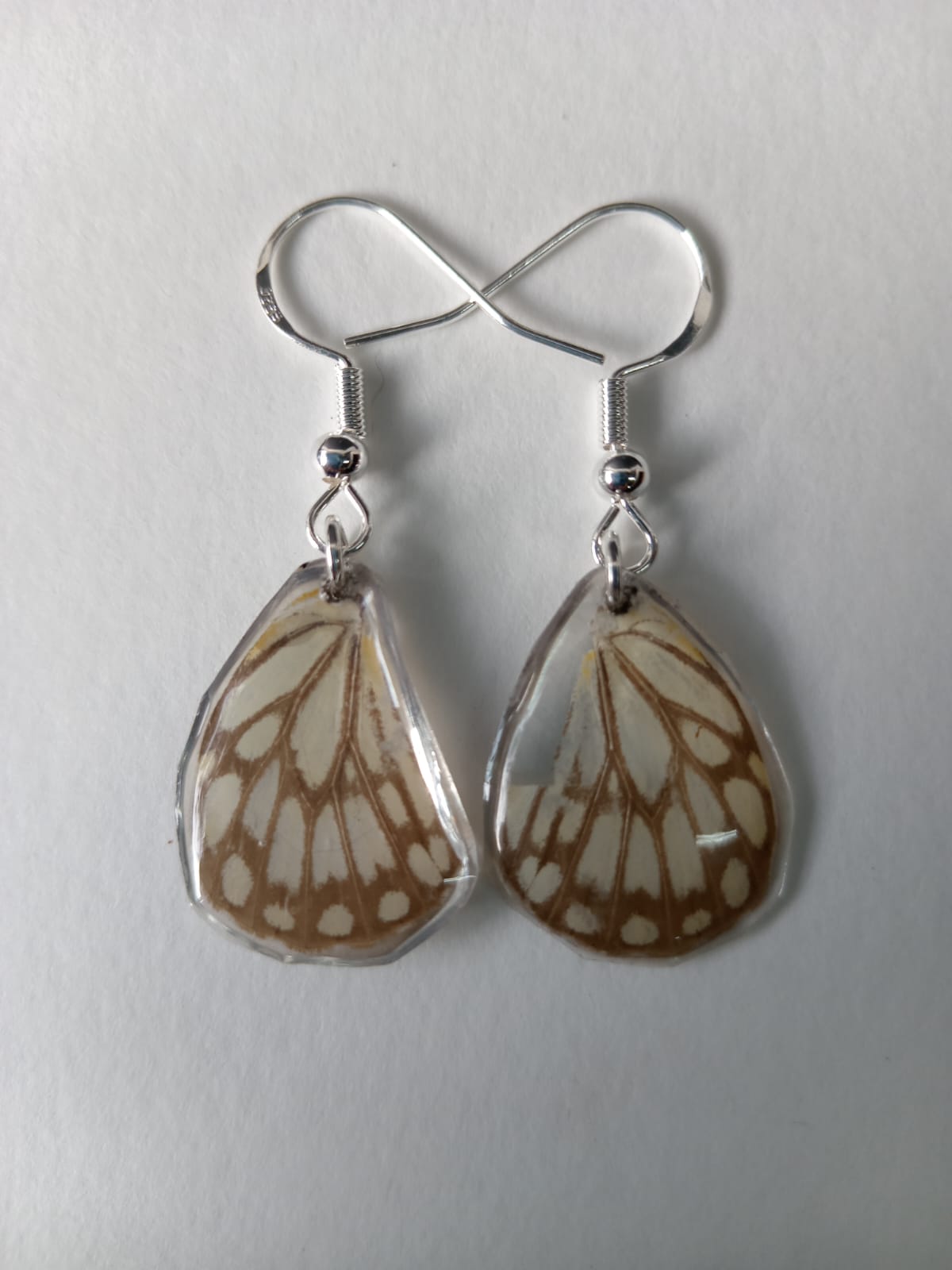 Butterfly, white and black