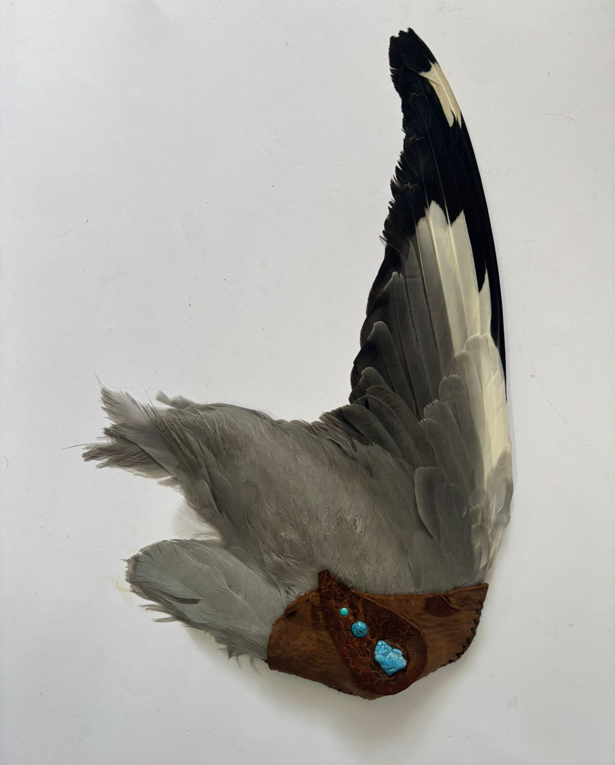 Bird Smudge Wing