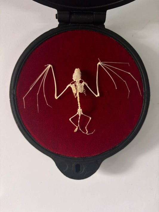 Rearticulated Bat