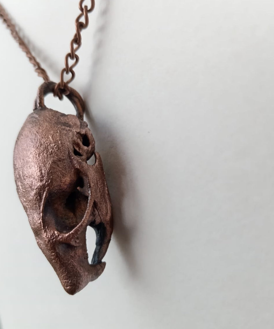 rat skull