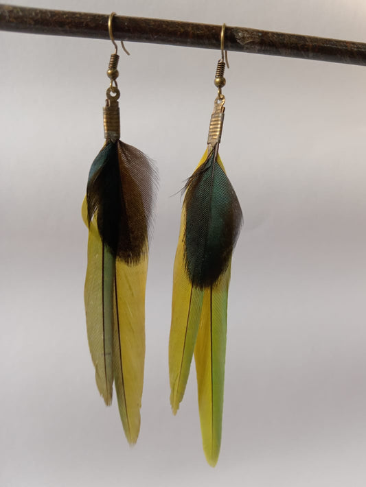 Parakeet and Loerie Feathers