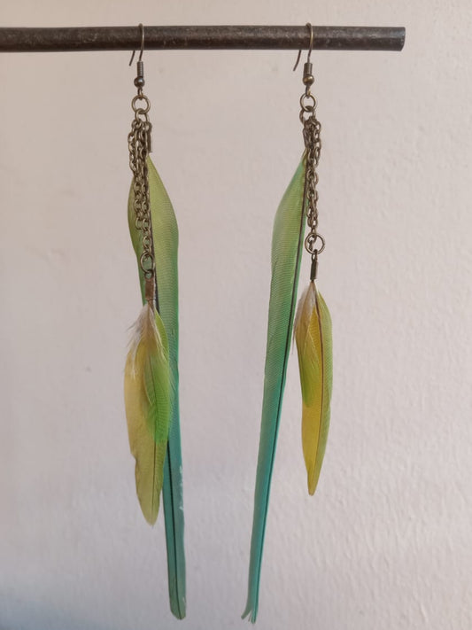 Parakeet Feathers