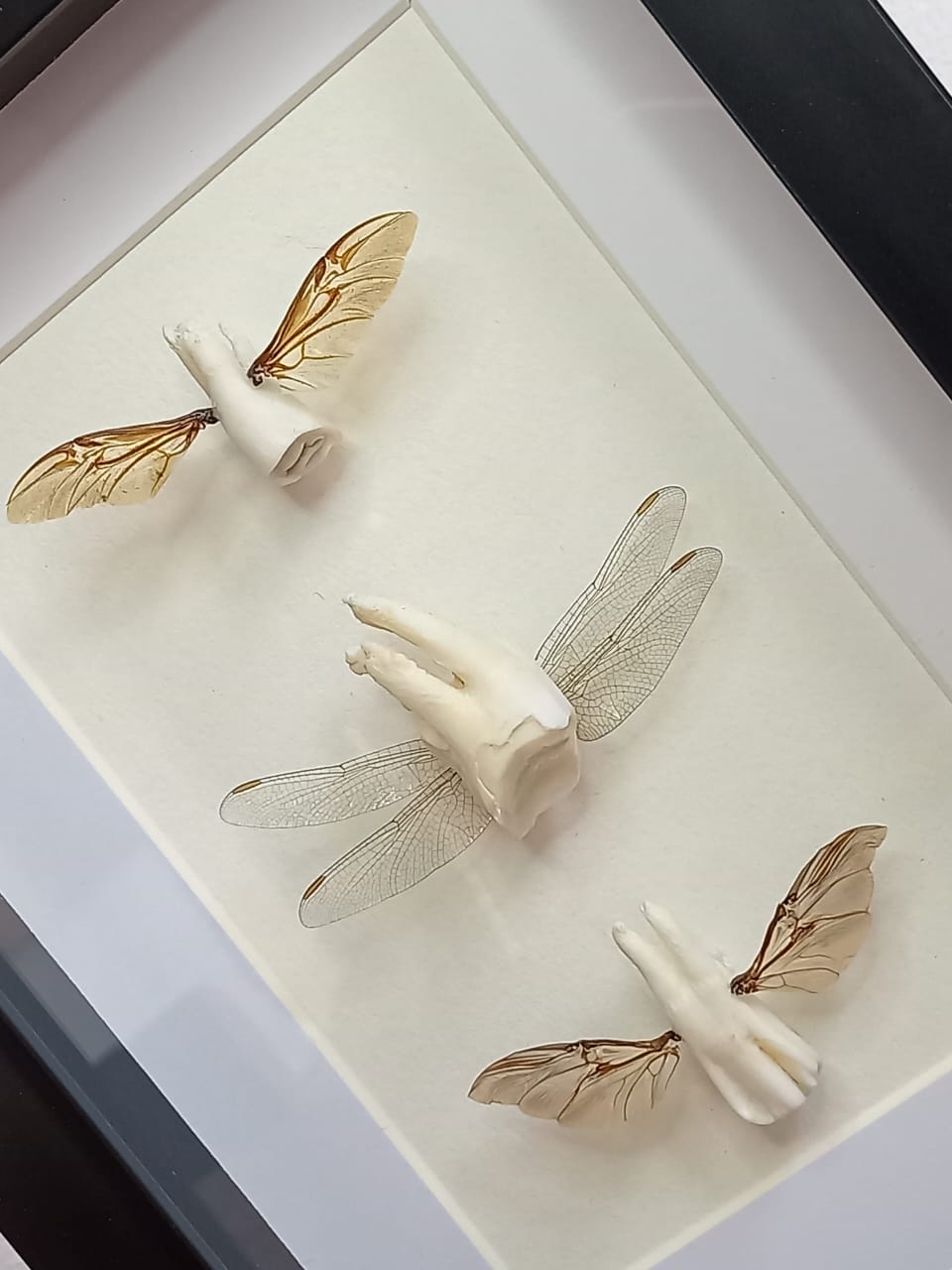 Tooth fairies