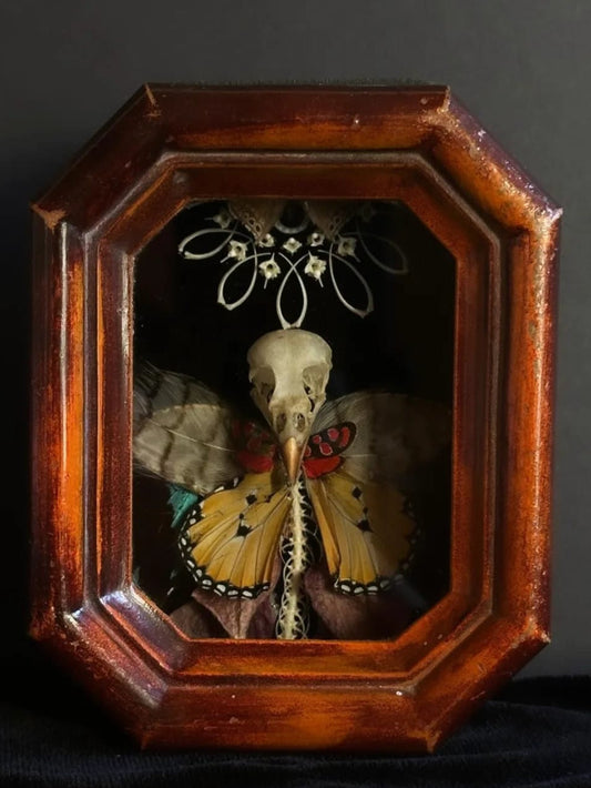 Obscure Jester Creature