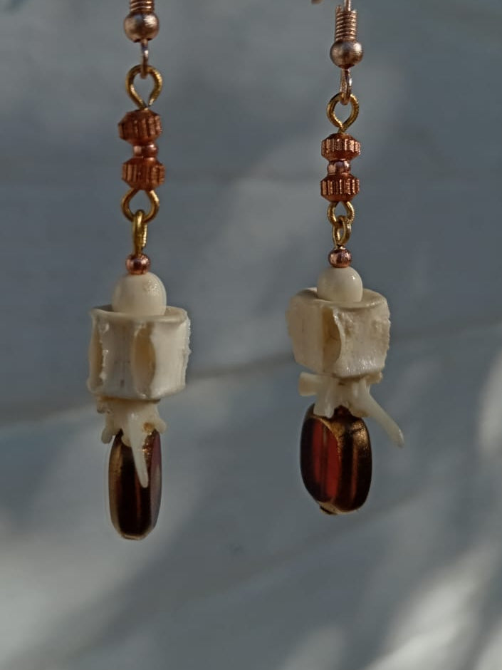 Shark and Snake Vertebra Bone Earrings — Ethical Bone Jewellery, South Africa