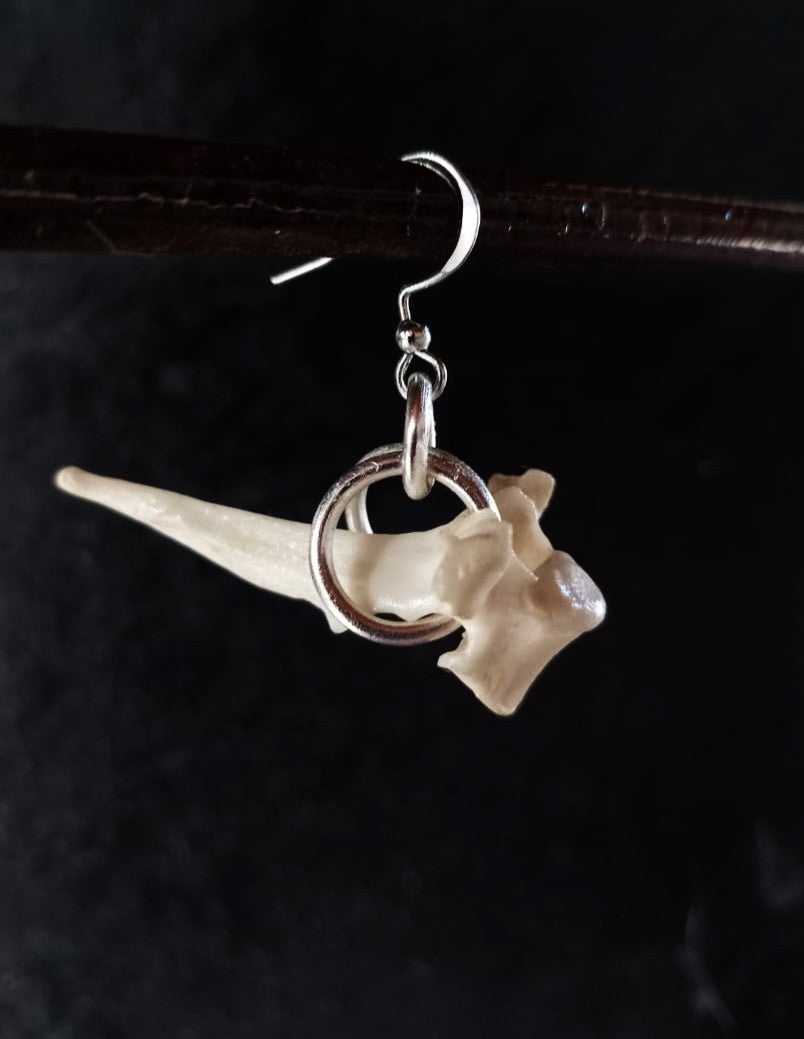 Mismatched Monkey Bone Earrings