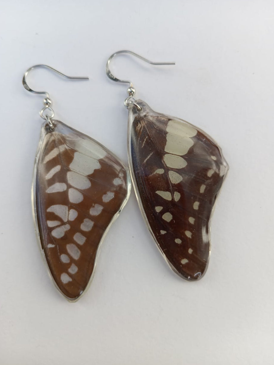 Butterfly Wing Earrings Encased in Resin