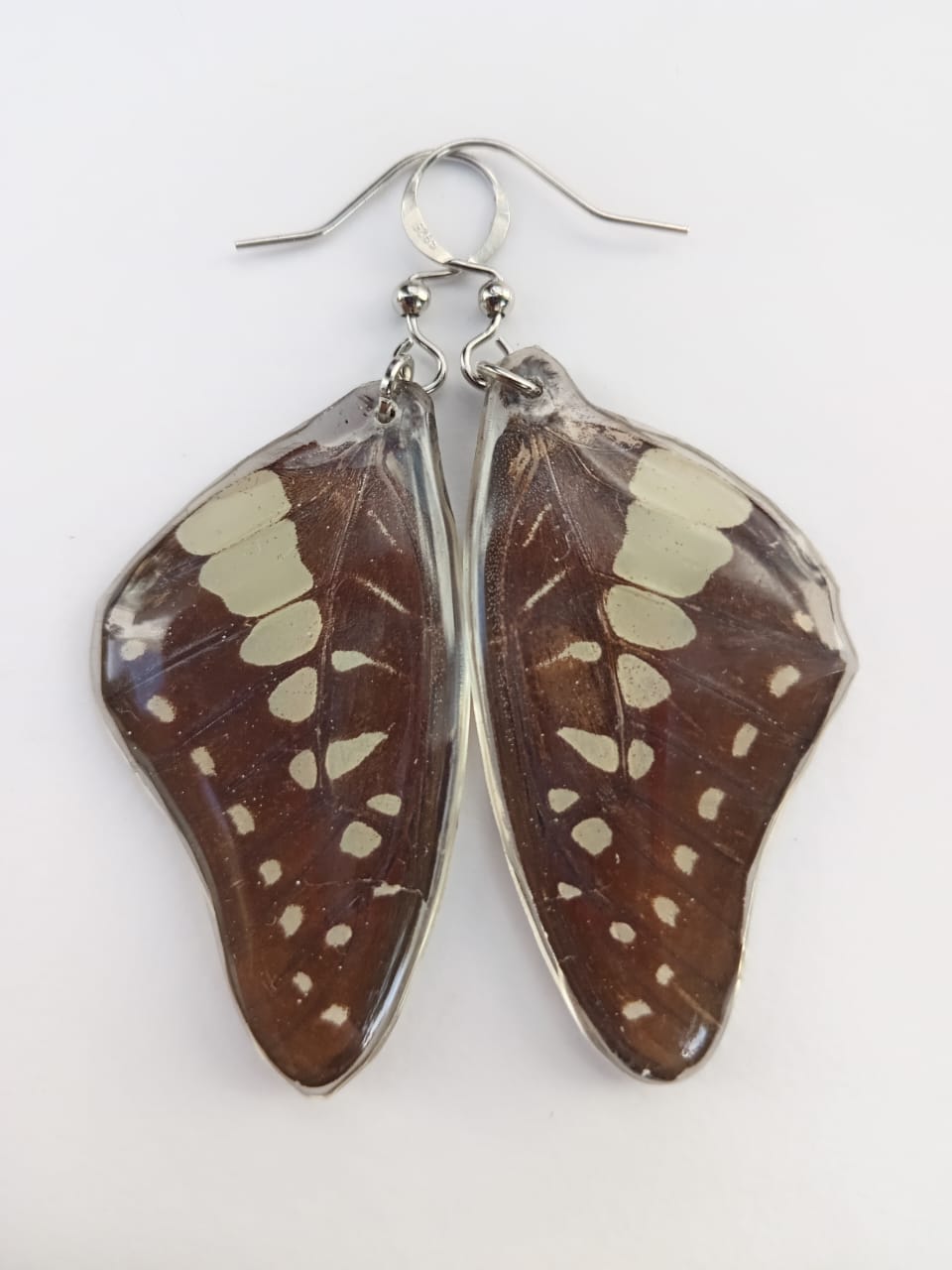 Butterfly Wing Earrings Encased in Resin