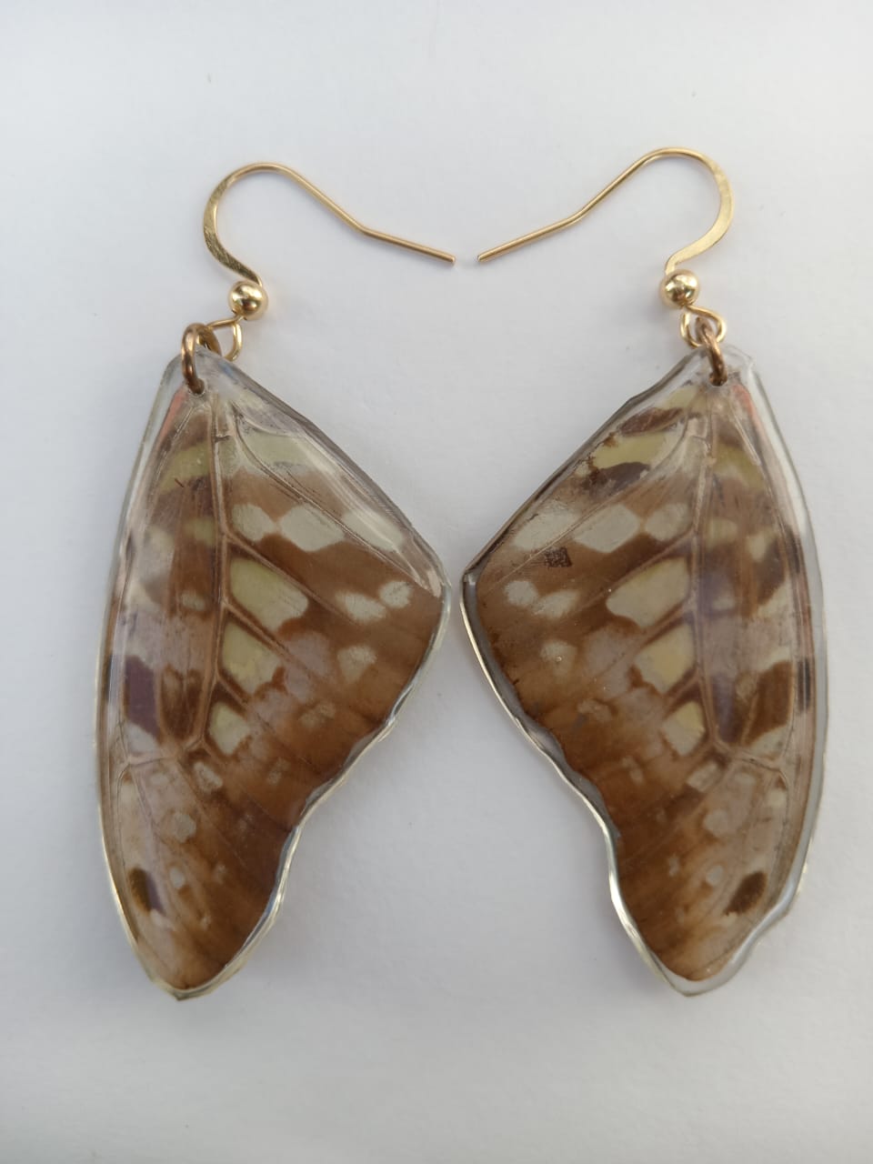 Butterfly wing earrings encased in resin